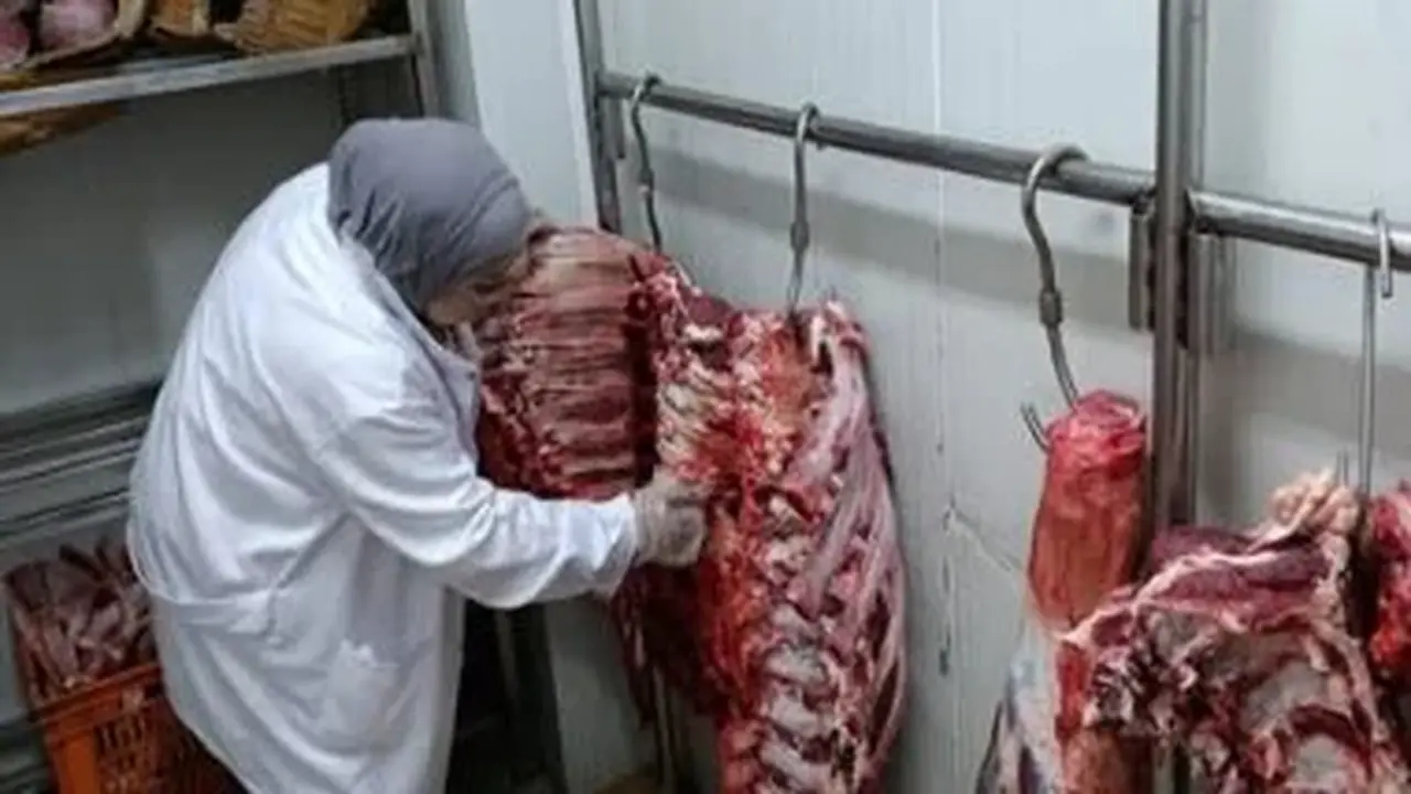 وزارة الزراعة تؤكد سلامة اللحوم الحمراء في الأسواق وترد على شائعات التلوث